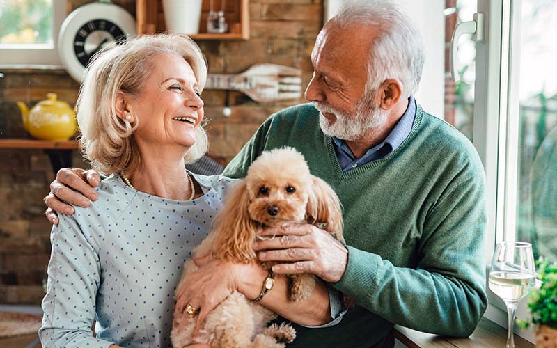 How Pets Can Help Seniors